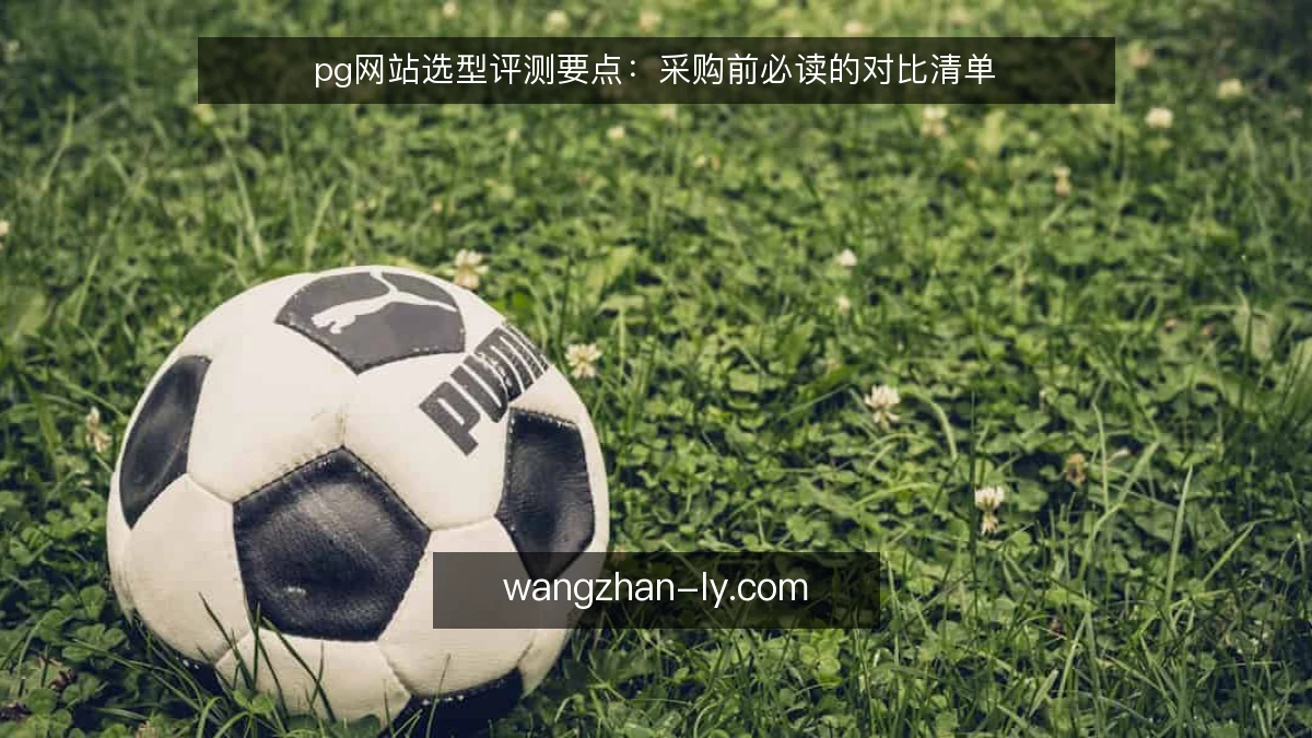pg网站选型评测要点:采购前必读的对比清单
