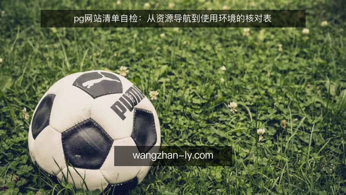 pg网站清单自检：从资源导航到使用环境的核对表