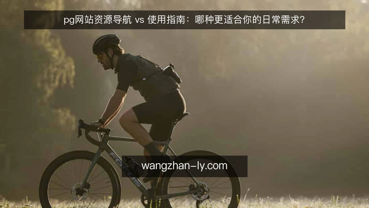 pg网站资源导航 vs 使用指南：哪种更适合你的日常需求？