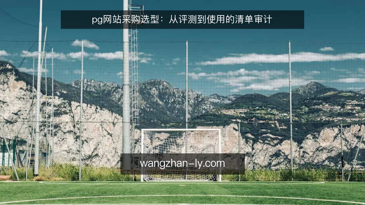 pg网站采购选型：从评测到使用的清单审计