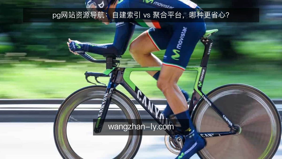 pg网站资源导航：自建索引 vs 聚合平台，哪种更省心？