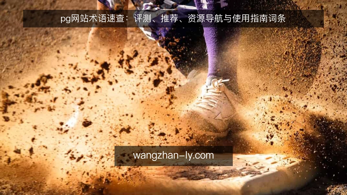 pg网站术语速查:评测、推荐、资源导航与使用指南词条