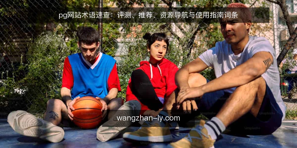 pg网站术语速查:评测、推荐、资源导航与使用指南词条 — 现场要看的信号 配图