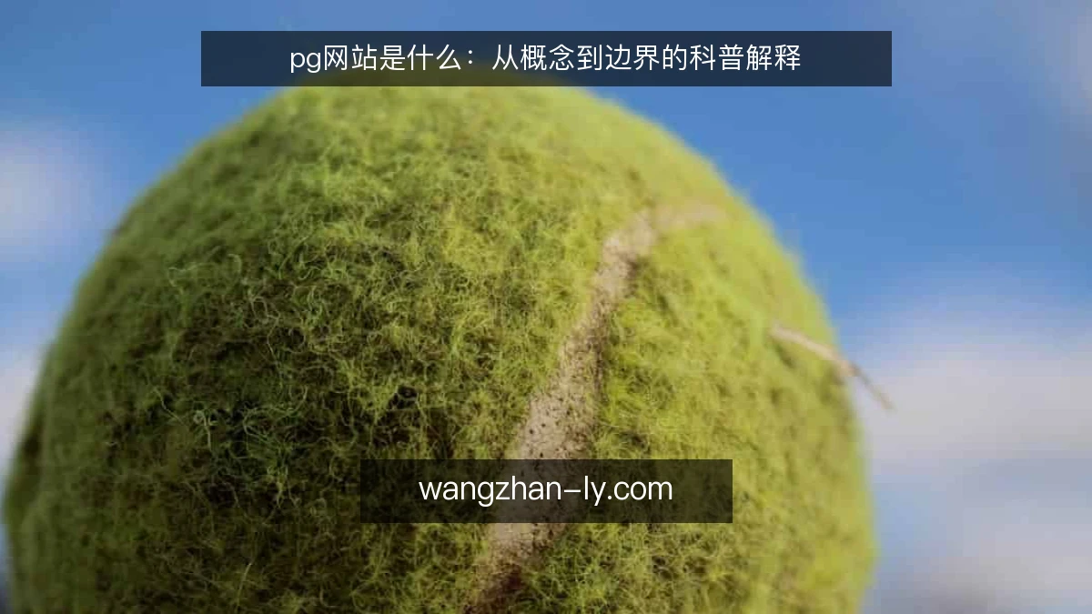 pg网站是什么:从概念到边界的科普解释