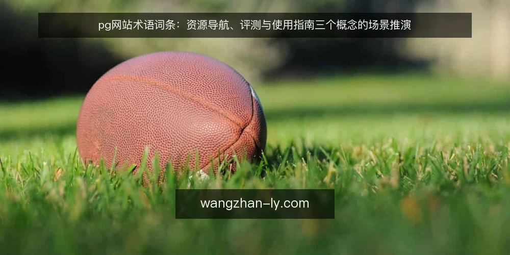 pg网站术语词条:资源导航、评测与使用指南三个概念的场景推演 — 场景起点:先弄清要查什么 配图